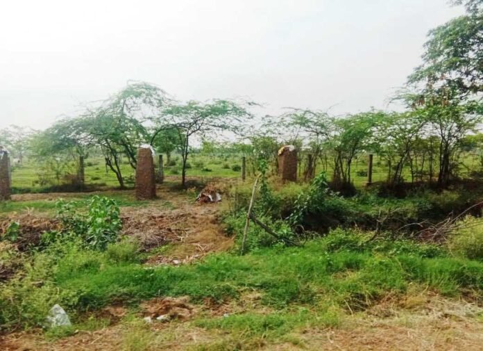 Naugarh स्थित रेशम फार्म में किया गया अवैध अतिक्रमण।