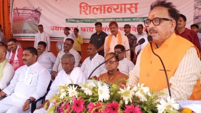 माधाेपुर में एक्सीलेंस सेंटर के उद्घाटन अवसर पर बोलते डा. महेंद्रनाथ पांडेय।