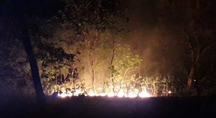 नौगढ़ के जंगलों में रात्रि में लगी आग।