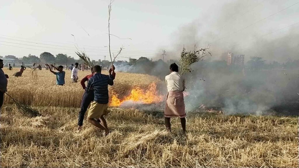 जसुरी गांव के सिवान में लगी आग को बुझाते ग्रामीण।