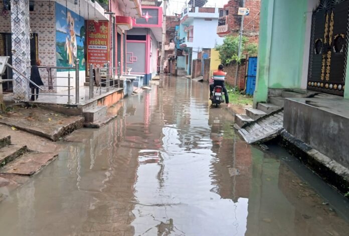 राजीव नगर वार्ड में बारिश के बाद मुख्य रास्ते पर जमा पानी।