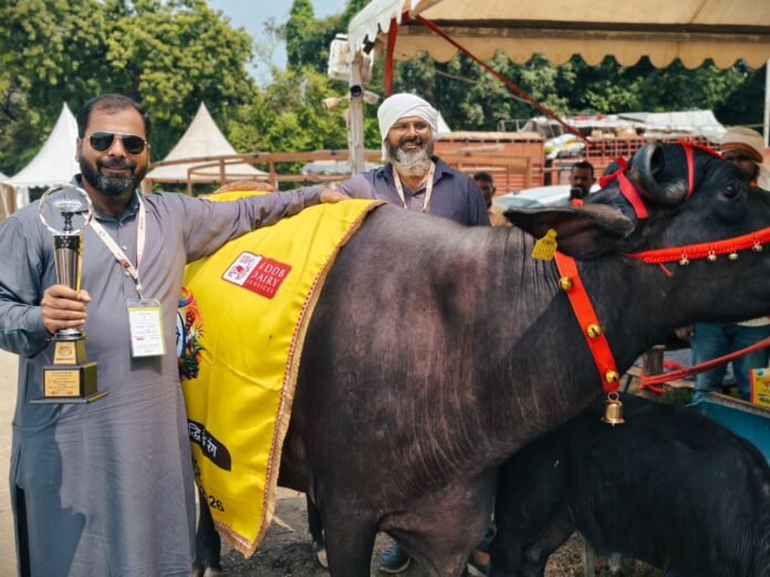 रंगीला मिल्किंग प्रतियोगिता-2026